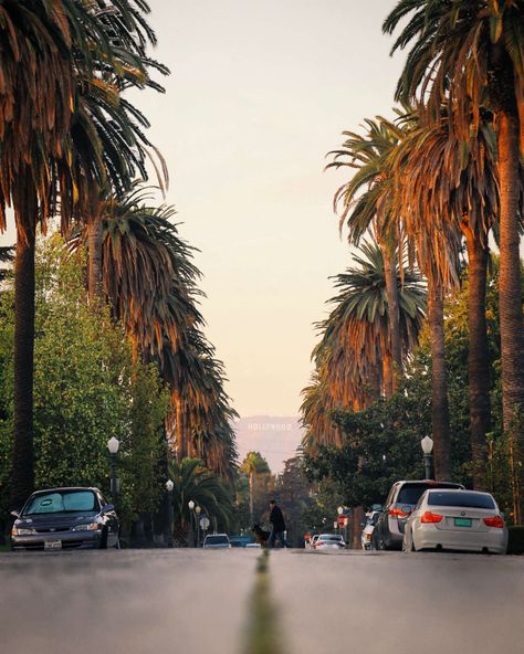 One of the most quintessentially ‘L.A.’ photos I can think of is of the Hollywood sign framed by palm trees. You can get that shot from the Hancock Park neighborhood on Windsor Blvd between 4th and 6th. You’ll need a zoom lens for this; smartphone cameras just won’t do the view justice. Los Angeles, Angeles, Street View, City Of Angels, Los Angeles Nightlife, Great View, Cool Places To Visit, Incredible Places, Los Angeles Photography