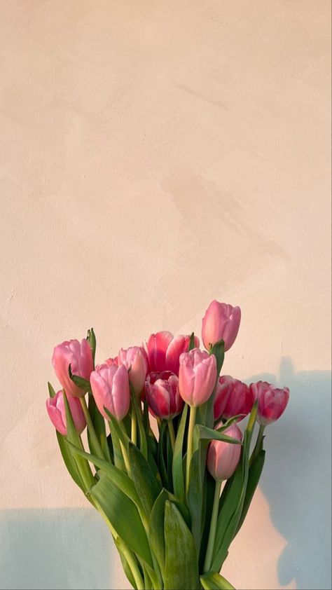 flowers, spring, tulips, details Floral, Summer, Tulips, Pink Tulips, Spring Flowers Wallpaper, Tulips Flowers, Pink Flowers, Spring Tulips, Flower Aesthetic