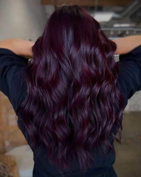 Haar, Red Hair Looks, Purple Black Hair, Dark Purple Hair, Cabello Largo, Violet Hair, Red Balayage Hair, Dark Purple Hair Color, Violet Hair Colors