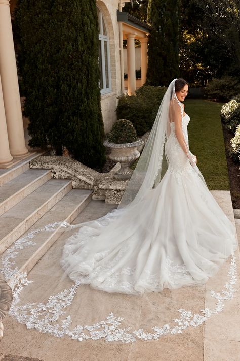 Bridal Dresses, Elegant, Bridal, Bridal Looks, Hochzeit, Robe, Bridal Veil, Bodas, Mariage