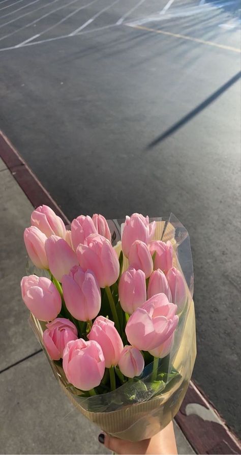 Pink, Floral, Spring Vibes, Spring Aesthetic, Flower Aesthetic, Pink Tulips, Bloom, Pink Flowers, Pretty Flowers
