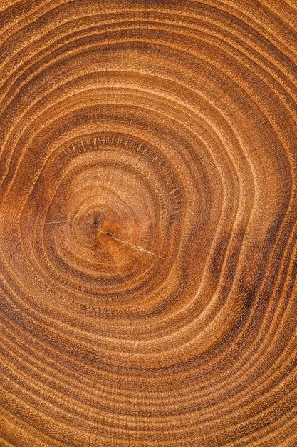 Fondo madera vista superior | Free Photo #Freepik #freephoto #fondo #madera #naturaleza #natural Wallpapers, Nature, Ideas, Design, Texture, Naturaleza, Background, Fotos, Abstract
