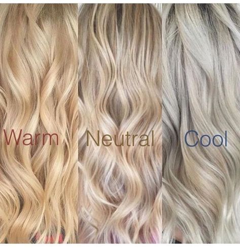 Blonde Hair Tones Chart Left to Right: Warm, Neutral, Cool Balayage, Shades Of Blonde, Warm Blonde, Warm Blonde Hair, Neutral Blonde, Neutral Blonde Hair, Blonde Tones, Blonde Color, Natural Blondes