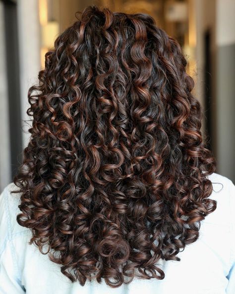 15 Best Curly Hairstyles to Inspire You Natural Curly Hair, Balayage, Balayage For Curly Hair, Highlights In Curly Hair, Deep Chocolate Brown Hair With Lowlights, Dark Hair Lowlights, Corte De Pelo Rizado, Highlights On Curly Hair, Cortes Para Cabelo Cacheado