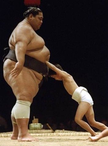 Konishiki Yasokichi (b.1963) a Hawaiian-born Japanese–Samoan sumo wrestler, was the first foreign-born grand champion, or yokozuna. Sumo, Sumo Wrestler, Martial, Action Poses, Figure Poses, Dynamic Poses, Maneki Neko, Body Reference Poses, Male Poses