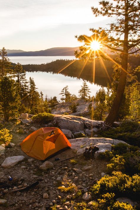 Camping Accessories, Camping Gear, Camping, Tent Camping, Outdoor, Camping Equipment, Camping And Hiking, Camping Supplies, Camping Hacks