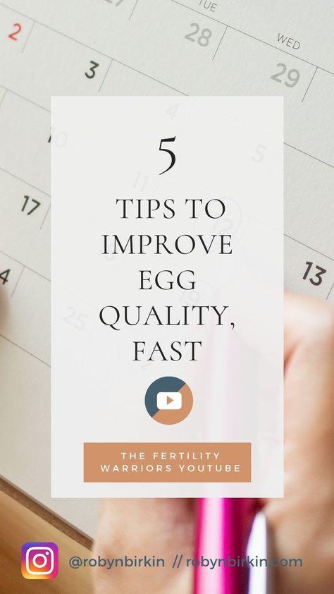 So often on our focus is on the number of eggs when undergoing fertility treatments.  However, egg quality is just as important!  Here are 5 ways to improve your egg quality FAST so you can TTC knowing your eggs are at their best.  #improveeggquality #ivf Videos, Trying To Conceive, Ivf Egg Retrieval, Egg Quality, Hormone Balancing, Cortisol Levels, Fertility Treatment, Getting Pregnant, Endometriosis