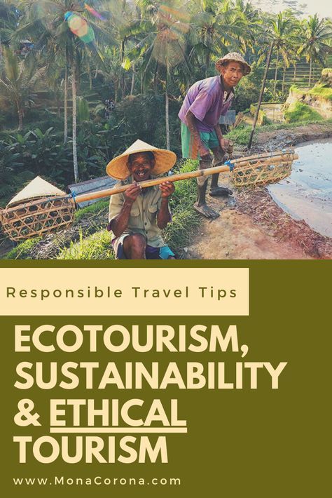 Responsible Tourism Tips for being a more responsible traveler. Ecotourism, sustainability, ethical tourism, & socially responsible travel tips. Travel guide for green travel, ecotourismo, ecolodge, green hotels, local culture, voluntourism, eco-friendly travel, ecofriendly hotel, sustainable hotels, eco resort, carbon offset programs & reducing carbon footprint. Best benefits of responsible travel. Bali, Costa Rica, Tulum, Thailand, Mexico, Indonesia, Vietnam, USA, #ecotourism #travel #tips #ad Ethical Travel, Eco Travel, Green Travel, Asia Travel, Luxury Travel, Local Travel, Travel Advice, Travel Guides, Travel Tips