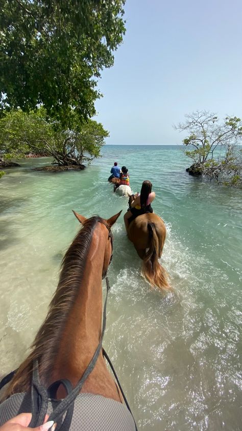 Bora Bora, Horses, Beach, Horse Riding, Jungle Life, Vacay, Extreme Adventure, Ocean, Horse Aesthetic