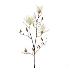 White Magnolia Branch Stem by Ashland® Ideas, Floral, Tattoos, Flora, Flowers, Instagram, Home Décor, Magnolia Branch, Magnolia Journal