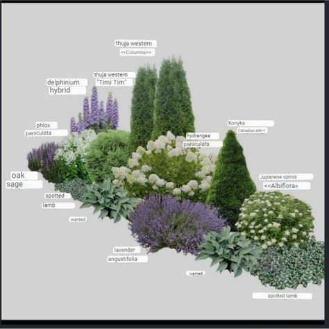 Flowers, Diy, Haus, Gard, Resim, Inspo, Grden, Plant, Garten