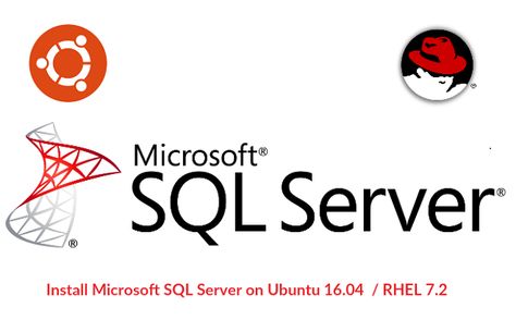 Install Microsoft SQL Server (MS SQL) on RHEL (CentOS) / Ubuntu – Evaluation version Centre, Linux, Microsoft Sql Server, Sql Server Management Studio, Sql Server, Sql Join, Database Management System, Data Backup, Relational Database Management System