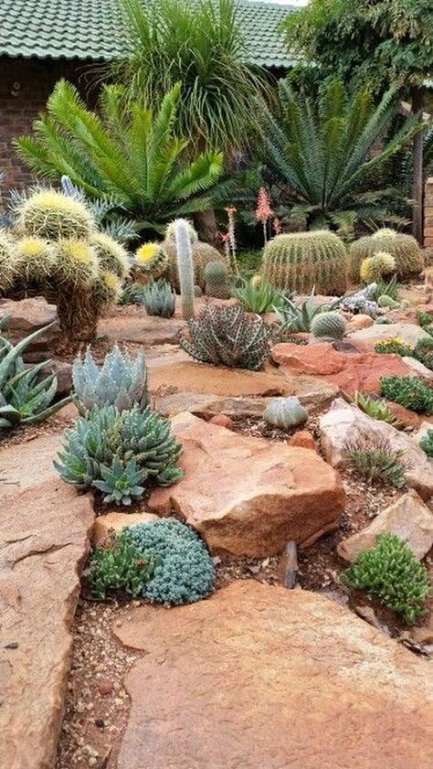 wild looking desert garden with various kinds of cacti and succulents plus large rocks Front Garden Landscaping, Back Garden Landscaping, Backyard Landscaping, Rock Garden Landscaping, Garden Landscaping Diy, Garden Landscaping, Landscaping With Rocks, Front Yard Landscaping, Desert Landscaping