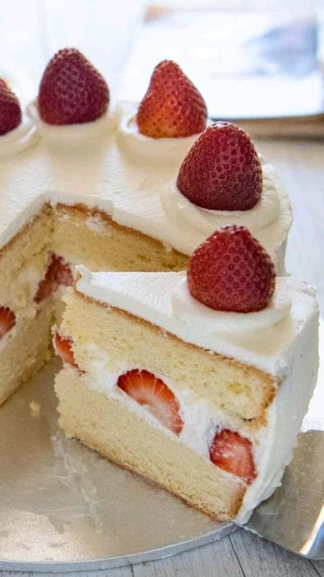 Cake Recipes, Cake, Dessert, Smoothies, Desserts, Tart, Strawberry Sponge Cake, Japanese Strawberry Shortcake, Strawberry Cake