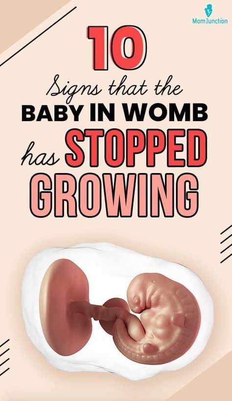 Pop, Baby Growth In Womb, Baby Development In Womb, Baby In Womb, Pregnancy Sleeping Positions, Baby Growth, Pregnancy Care, Baby Development, Baby Fever