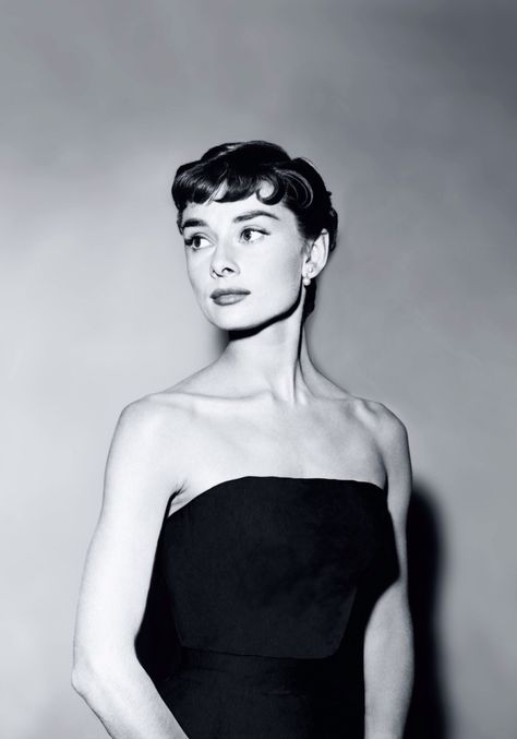 Audrey Hepburn in 1953 by Bob Willoughby. Audrey Hepburn, Audrey Hepburn Givenchy, Audrey Hepburn Photos, Audrey Hepburn Style, Audrey Hepburn Wallpaper, Aubrey Hepburn, Old Hollywood Glamour, Celebrity Singers, Hollywood Glamour