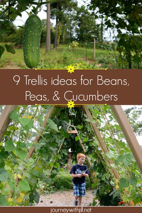 These 9 Trellis Ideas for Beans, Peas, & Cucumbers are completely doable even for a beginner! While some ideas may require two people, many you can do by yourself to grow your garden vertically!  #verticalgardening #gardentrellis #beantrellis Growing Vegetables, Vegetable Garden Design, Trellis, Compost, Vegetable Garden Trellis, Vertical Vegetable Garden, Veggie Garden, Gardening For Beginners, Veg Garden