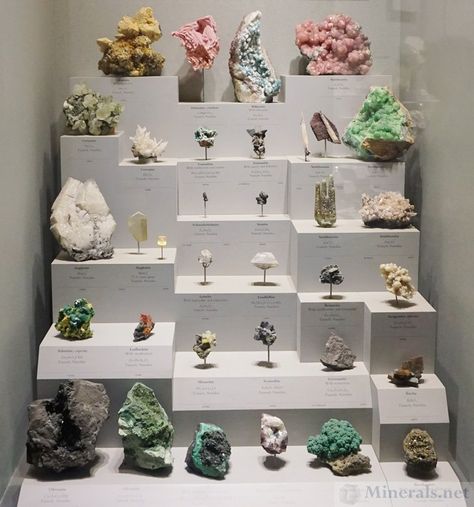 Museums, Instagram, Mineral Collection Display, Museum Display Cases, Minerals Museum, Displaying Collections, Display Case, Museum Displays, Mineral Collection