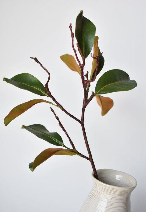 "Featuring our best-selling magnolia leaf on a wonderful and realistic branch! You cannot add the beauty and texture of our magnolia leaf in a bigger way to your vases or arrangements! Includes 10 magnolia leaves that are wired and can be manipulated into the shape of your choice! This stem is amazing to just add a few to a vase or use with other stems in an arrangement! Details: - Total Length of Stem from Top to Bottom: 28.5\" - Splits 14\" from the bottom of stem - Number of leaves: 9 on 5 br Inspiration, Magnolia Branch, Magnolia Leaves, Magnolia Flower, Eucalyptus Leaves, Stems, Leaf Vase, Plant Leaves, Seeded Eucalyptus