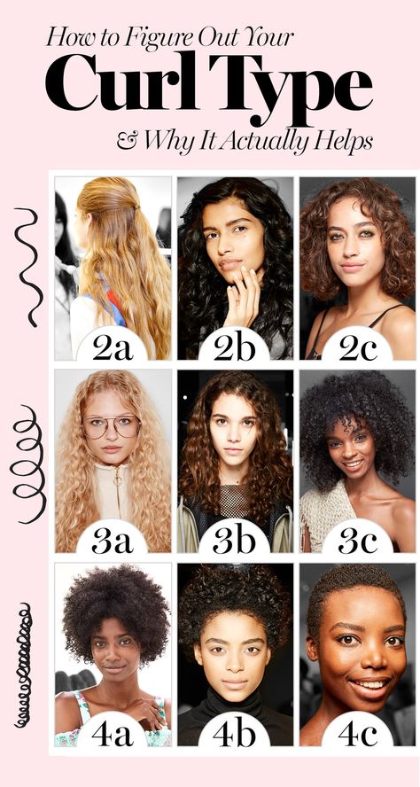 How to Figure Out Your Curly Hair Type and Why It Actually Helps | Glamour Types Of Curls, Hair Type Chart, Curly Hair Care, Curly Hair Routine, Hair Chart, Hair Hacks, Hair Type, Curly Girl Method, Curly Hair Types