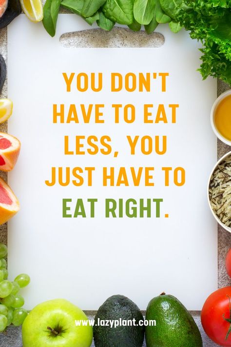 Quotes for the importance of a healthy, vegan diet for health, weight loss, and enjoy of life. Healthy Motivation Quotes, Healthy Food Quotes, Healthy Eating Quotes, Healthy Vegan Diet, Keto Products, Nutrition Quotes, Healthy Quotes, Healthy Lifestyle Quotes, Healthy Food Motivation