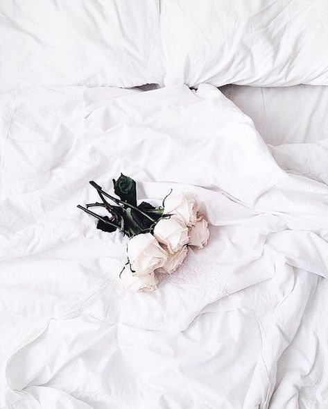 2020 Inspiration! . "A white flower grows within the quietness. Let your tongue become that flower." - Rumi . Bring some White Flowers into your Home this New Year. Shop AVAS FLOWERS and Save Up to 45% OFF! . . 📸 Jessica Berúmen Moran| IG: jessicaberumenmoran  Good Morning Jessica! Hope all is well. Happy New Year! . XO, Avas Flowers Inspiration, Portrait, Pink, Instagram, Aesthetic Photo, Aesthetic Artsy, Aesthetic, Pink Aesthetic, White Aesthetic