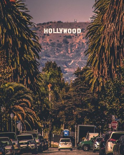 Hollywood sign from the Hancock Park neighborhood on (Windsor Blvd between 4th and 6th) Los Angeles CA Instagram, Film Posters, Los Angeles, Cali, Aesthetic Vintage, Hollywood, Hollywood Sign, Aesthetic, Photo B
