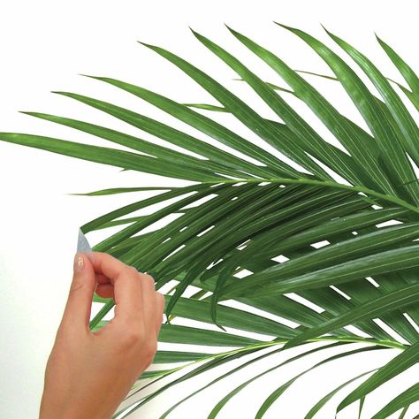 Green, Leaf Design, Botanical Wallpaper, Palm Leaves, Small Palms, Palm Leaf Design, Wallpaper Roll, Tropical Leaves, Plant Leaves