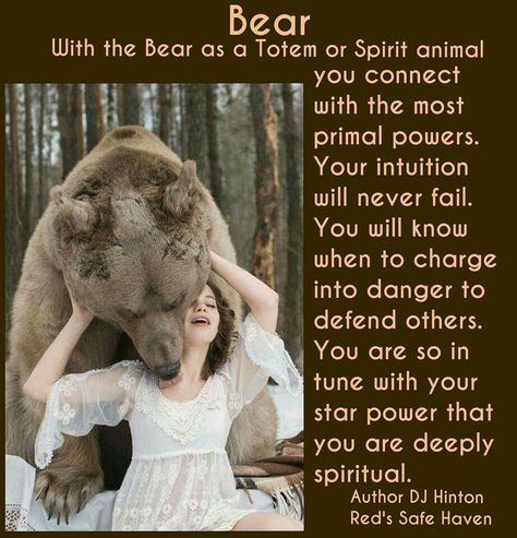 Inspiration, Meditation, Bear Spirit Animal, Your Spirit Animal, Native American Zodiac Bear, Animal Totem Spirit Guides, Spirit Bear, Animal Meanings, Animal Spirit Guides