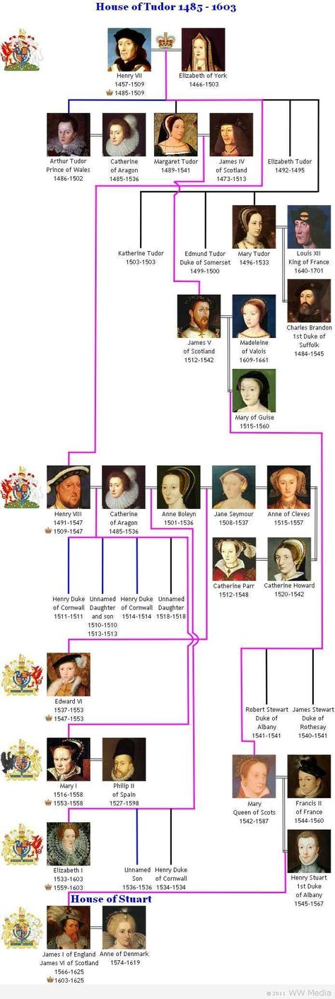 House of Tudor 1485 - 1603 family tree. To complete Henry VIII family tree SOTW sheet for Ch. 34b. WEEK 28 #britishhistory Wales, Royals, Tudor, England, Tudor History, Henry Viii, Royal House, Royal Family Trees, Royal Family