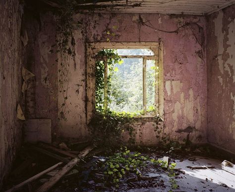 The Eerie Allure of Abandoned Houses | The New Yorker Architecture, Nature, Art, Beautiful, Picture, Aesthetic, Aesthetic Pictures, Fotos, Fotografie