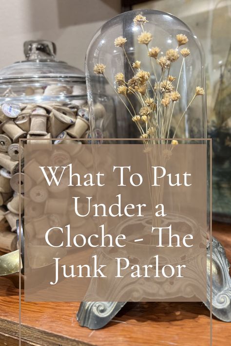 Do you ever wonder what to put under a cloche? If so, then this is the perfect place to find out! With their unique selection of vintage treasures and eclectic finds, you are sure to find inspiration for what to put under your cloche. Decoration, Design, Interior, Upcycling, Vintage, Style, Tips, Dekoration, Fun