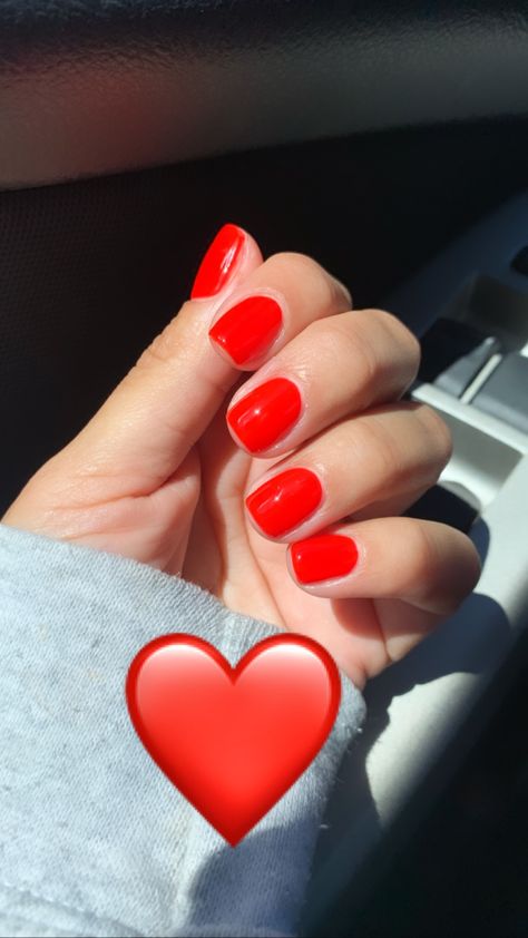 Bright red nails . DND lucky red color Pedicure, Red Nail Varnish, Red Nails, Red Nail Polish Colors, Red Nail Polish, Dnd Red Gel Polish Colors, Red Manicure, Red Summer Nails, Bright Red Nails