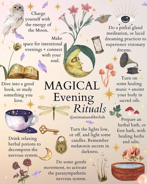 Evening Rituals, Relaxing Candles, Healing Books, Green Witchcraft, Energy Healing Spirituality, Witch Spell Book, Herbal Magic, Baby Witch, Healing Herbs