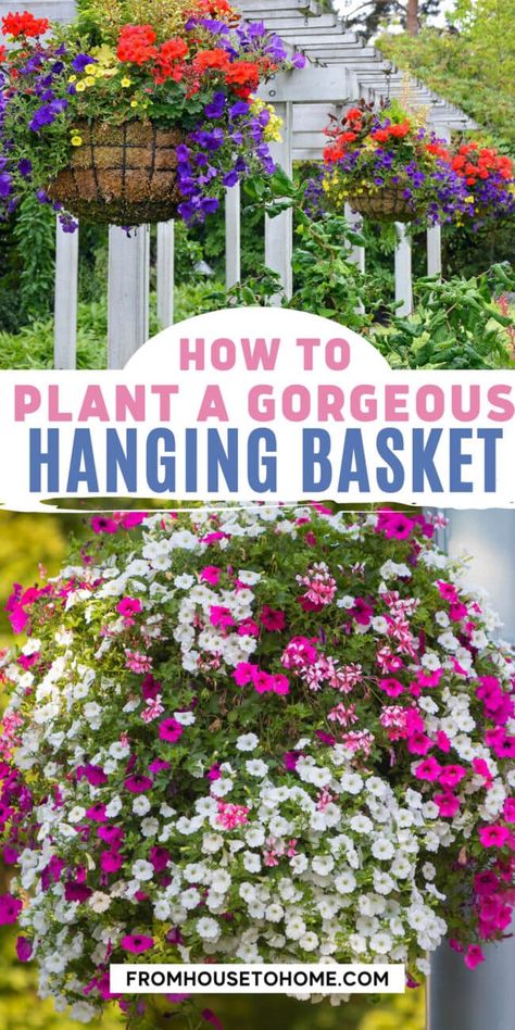 Looking for ideas on how to plant a hanging basket? We've got you covered! Use this simple step by step guide on planting your own hanging baskets that will look gorgeous for the whole growing season. Container Gardening, Planting Flowers, Plants For Hanging Baskets, Hanging Plants Outdoor, Outdoor Plants, Flower Pots Outdoor, Hanging Flower Pots, Hanging Plants, Hanging Flower Baskets