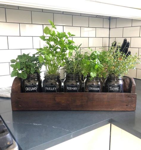 13 clever ways to display fresh herbs, indoors and out Herb Garden, Fresh Herbs, Herbs Indoors, Mason Jar Herbs, Herbs Garden Inside, Mason Jar Herb Garden, Herb Boxes, Planting Herbs, Herb Planters