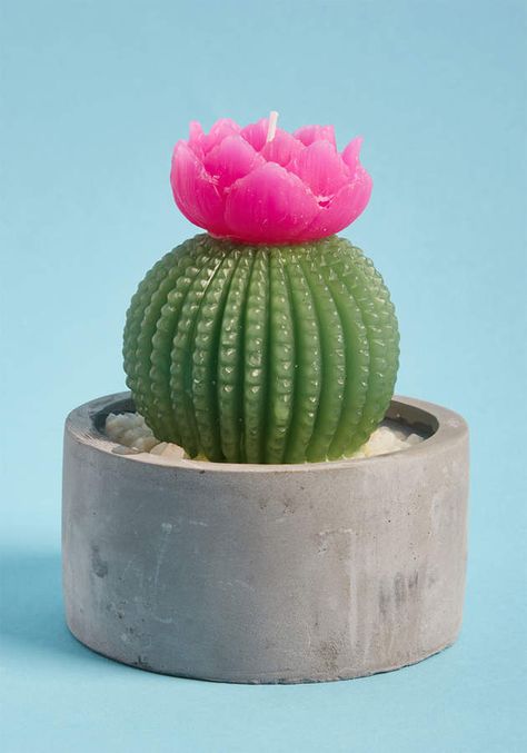 Two's Company How Does Your Garden Glow? Cactus Candle #ad #cactus #cactusparty #cacti #cactusaddicted #succulent #saguaro #candles Glow, Gifts, Cactus, Cute Candles, Best Candles, Home Gifts, Scented Candles, Flower Pots, Deco