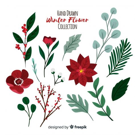 Hand drawn winter flowers collection Fre... | Premium Vector #Freepik #vector #flower #christmas #floral #winter Flower Doodles, Floral, Gouache, Floral Doodle, Flower Drawing, Christmas Clipart, Winter Flowers, Holiday Painting, Holiday Floral