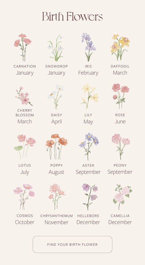 You probably know your zodiac sign…but do you know your birth flower? Tattoo Ideas, Tattoo, Flower Tattoos, Art, Birthday Tattoo, Tatoo, Tattos, Tatoos, Flower Tattoo Arm