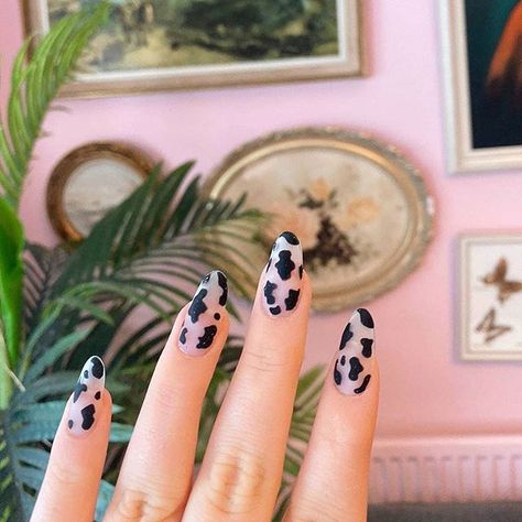 Alice Mc 🦄 Nail Artist on Instagram: “Moo Nails!! 🐄🐄🐄@saffron_sowerby always takes cute nail pics in my house #nailfie” Nail Swag, Nail Artist, Cute Acrylic Nails, Dream Nails, Nail Inspo, Cute Nails, Pretty Nails, Nailart, Dope Nails
