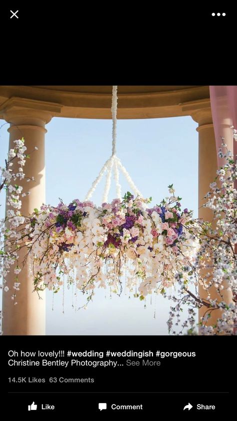 Wedding Flowers, Inspiration, Wedding Bouquets, Beautiful Weddings, Floral Chandelier Wedding, Purple Wedding Flowers, Wedding Ceremony, Wedding Designs, Casamento