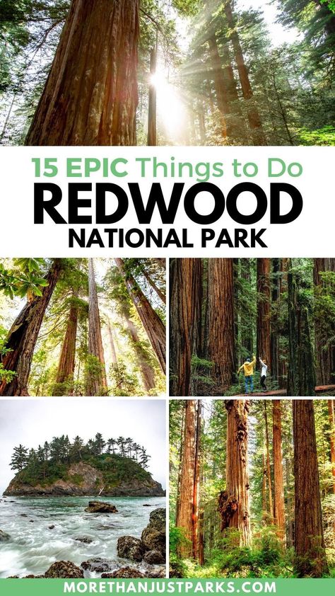Wanderlust, Vacation Ideas, Camping, Portland, Oregon Travel, State Parks, Destinations, California Travel Road Trips, Redwoods California