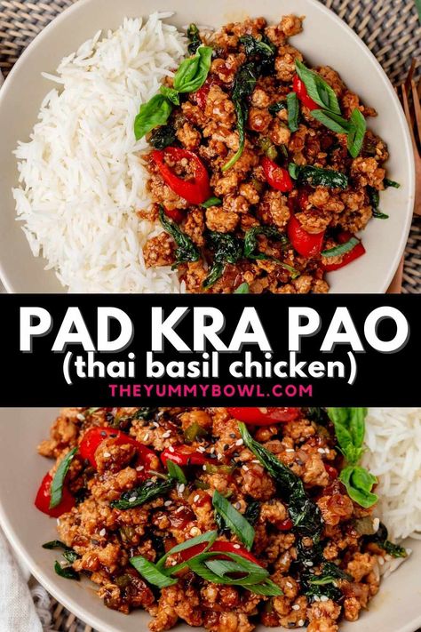 Easy and so quick to whip up, this Thai Basil Chicken will become your new favorite Asian-style dish. It’s salty, sticky, sharp, spicy, and made with plenty of ‘’holy’’ basil which is the star ingredient in this dish. Pad Kra Pao, Thai Basil Chicken, Asian Dinners, Basil Recipes, Basil Chicken, Thai Basil, Läcker Mat, Holy Basil, Think Food