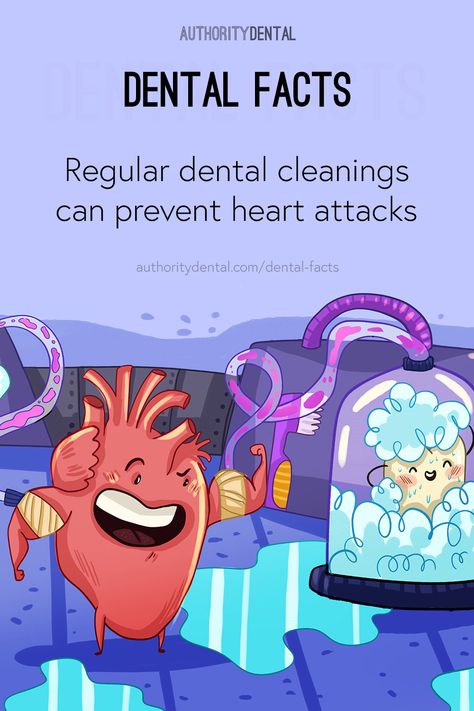 Dental Health, Oral Health Care, Dental Hygiene Humor, Dental Facts, Dental Cleaning, Dental Emergency, Emergency Dental Care, Dental Hygiene, Dental Posts
