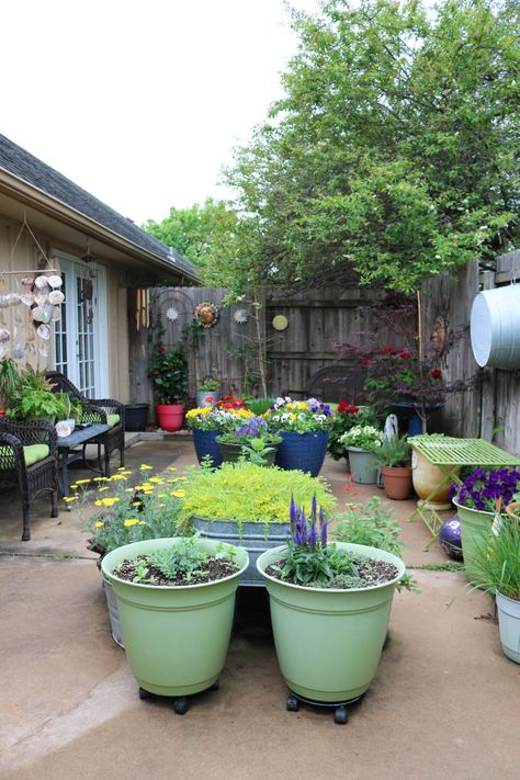 Patio Gardening 101 · Cozy Little House Las Vegas, Shaded Garden, Container Gardening, Patio Container Gardening, Small Space Gardening, Outdoor Areas, Patio Gardens, Patio Garden, Raised Garden