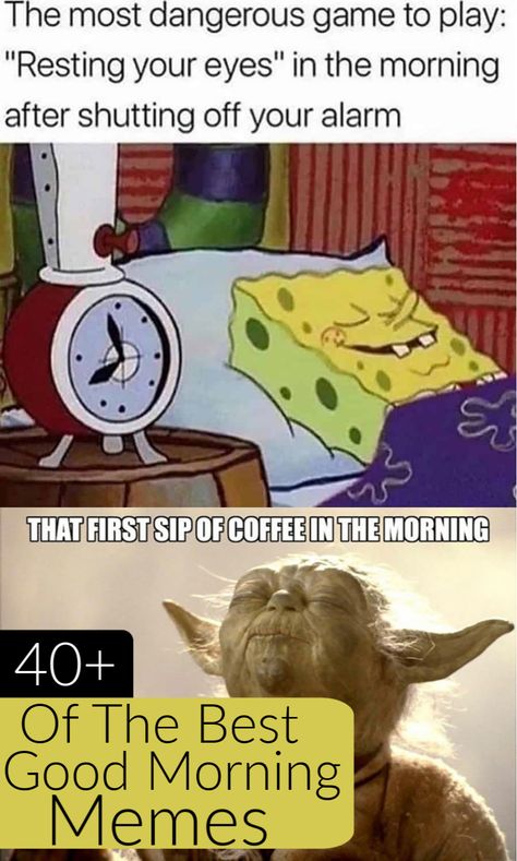 A collection of the best Good Morning memes on the Internet. Over 40 of the funniest good morning memes! #DankMemes #HilariousMemes #FunnyMemes #GoodMorningMemes #Memes Funny Memes, Funny Relatable Memes, Funny Good Morning Memes, Joke Of The Day, Dankest Memes, Morning Humor, Morning Jokes, Good Morning Funny, Good Morning Meme