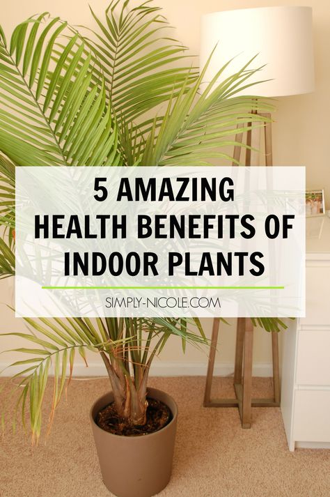 Health Benefits of Indoor Plants Organic Gardening, Health, Benefits Of Indoor Plants, Health Benefits, Healthy Plants, Plant Health, Plant Benefits, Best Indoor Plants, Natural Air Purifier