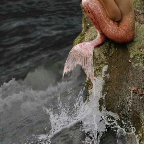 Nymph, Siren, Mermaid, Princess, Sirena, Merman, Mermaid Aesthetic, Fotos, Mythical