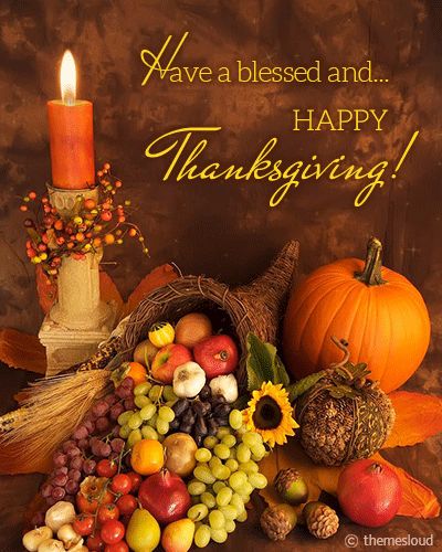 Thanksgiving, Thanksgiving Pictures, Fall Thanksgiving, Thanksgiving Videos, Friends Thanksgiving, Thanksgiving Wallpaper, Happy Thanksgiving Pictures, Happy Thanksgiving Friends, Thanksgiving Images