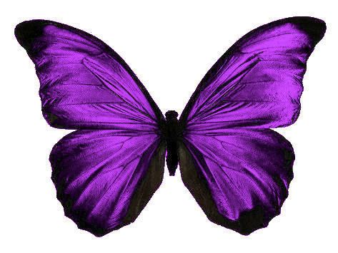 Butterfly for tattoo Flowers, Deko, Kunst, Dieren, Butterfly Art, Butterfly Painting, Butterfly Drawing, Butterfly Pictures, Butterflies Flying